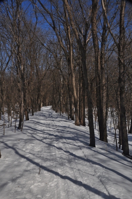 River Bend Nature Center, Fairbault
